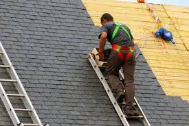 Best Roof Insulation Installation  in Ceredo, WV